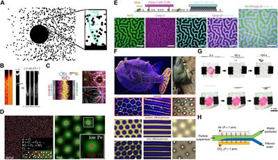 Diffusiophoresis: a novel transport mechanism - fundamentals, applications, and future opportunities